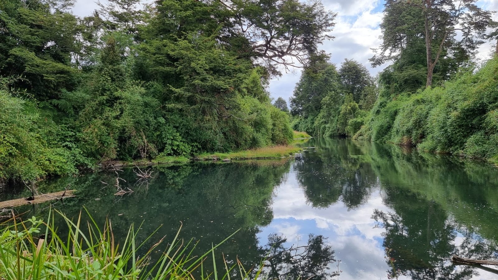 Ribera del río en Fundo El Ciruelillo